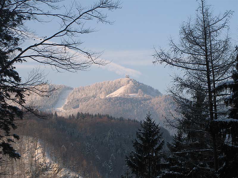 Zoom zum Muckenkogel